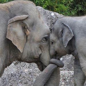 Meet your Posher, Angie